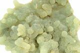 Botryoidal Prehnite and Epidote Inclusions - Mali #220443-1